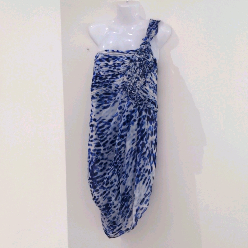 BCBG silk dress